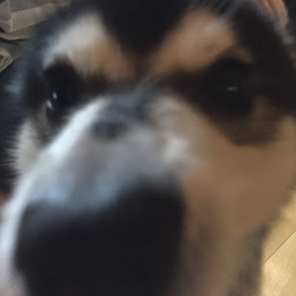 Meet your Posher, Colette - Picture 1 of 1